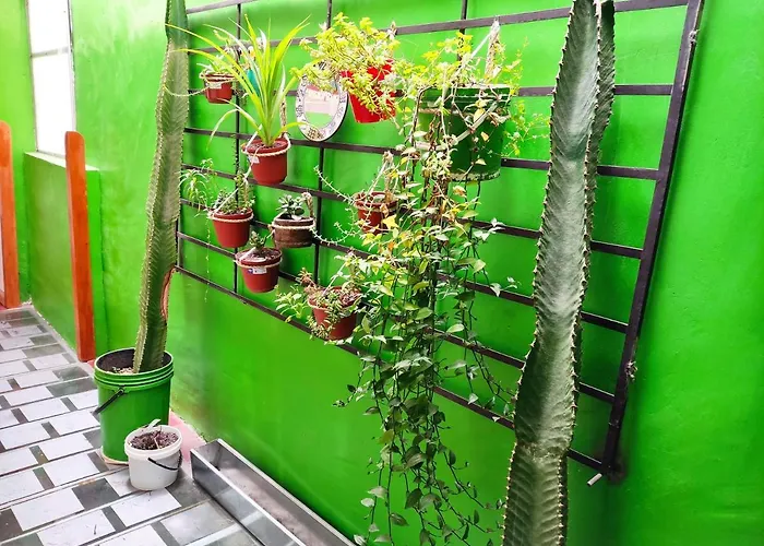 Apartamento Samayuna Wasi , Entire
